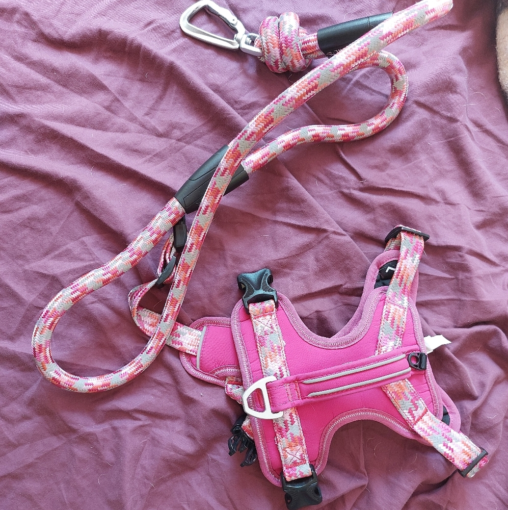 Arcadia Trail Harness and Lesh